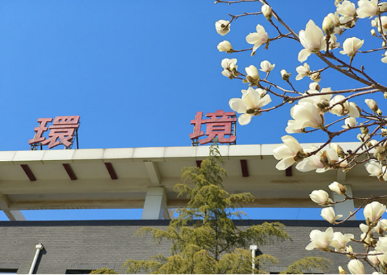 20250320 遇見·春天,解鎖海螺新材的春日浪漫119 20250320 遇見·春天,解鎖海螺新材的春日浪漫119
