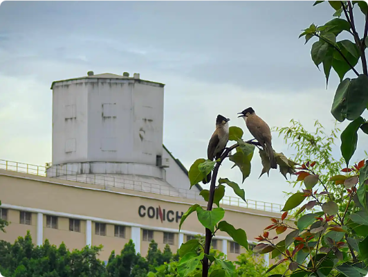 微信圖片_20250818104438